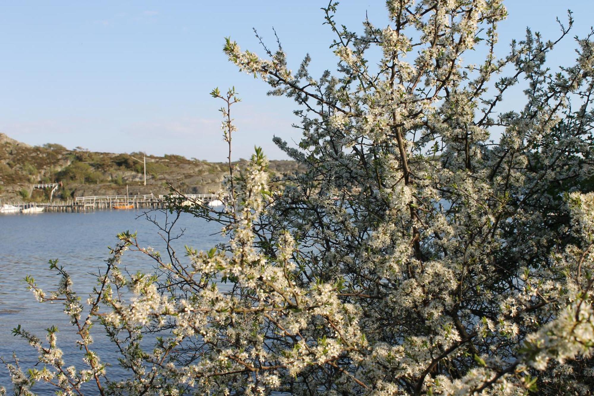 Tofta Herrgard Lycke 외부 사진